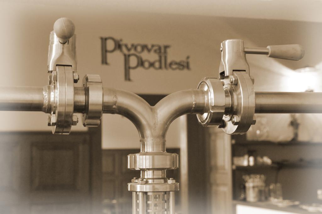 Penzion Pivovar Podlesi Příbram Εξωτερικό φωτογραφία